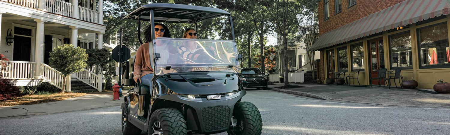 2024 EZGO Freedom RXV for sale in Dornan's Sales & Service, Attica, Ohio